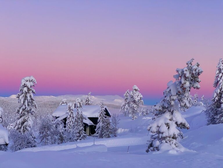 Ettermiddags lyset nh