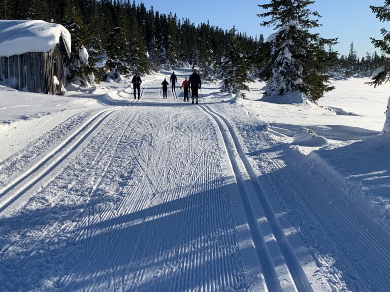 IMG_3898 (1)